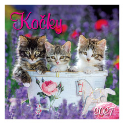 Nástěnný kalendář 2027 - Kočky 