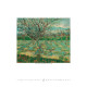 Nástěnný kalendář 2027 - Gardens Impressionism 