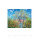 Nástěnný kalendář 2027 - Claude Monet 