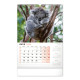 Nástěnný kalendář 2024 Za zvířaty do zoo 