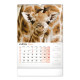 Nástěnný kalendář 2024 Za zvířaty do zoo 