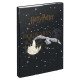 Desky na školní sešity A4 Harry Potter Bradavice Erb